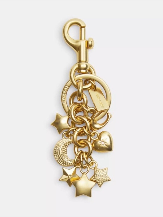 Coach Accessories - ✨New Coach Star Cluster Charm